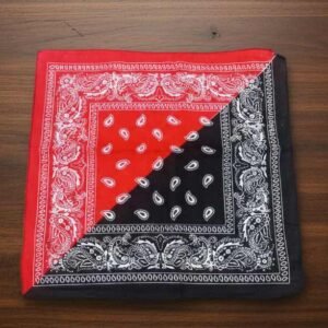 A0301(A) ANMOL JHANDA