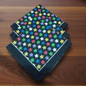 A0301(B) ANMOL JHANDA