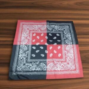 A0301(E) ANMOL JHANDA